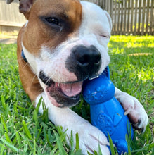 Load image into Gallery viewer, SodaPup Easter Nylon Bunny Chew Toy For Dogs