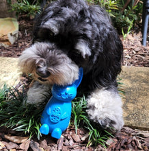 Load image into Gallery viewer, SodaPup Easter Nylon Bunny Chew Toy For Dogs