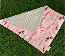 Load image into Gallery viewer, Pink Feathers Minky Blanket