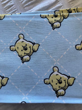 Load image into Gallery viewer, Winnie the Pooh - Baby Blue Mask