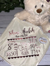 Load image into Gallery viewer, Musical Light Up teddy