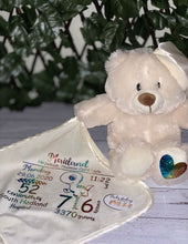 Load image into Gallery viewer, Musical Light Up teddy