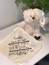 Load image into Gallery viewer, Musical Light Up teddy