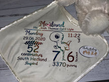 Load image into Gallery viewer, Musical Light Up teddy