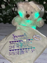 Load image into Gallery viewer, Musical Light Up teddy