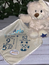 Load image into Gallery viewer, Musical Light Up teddy