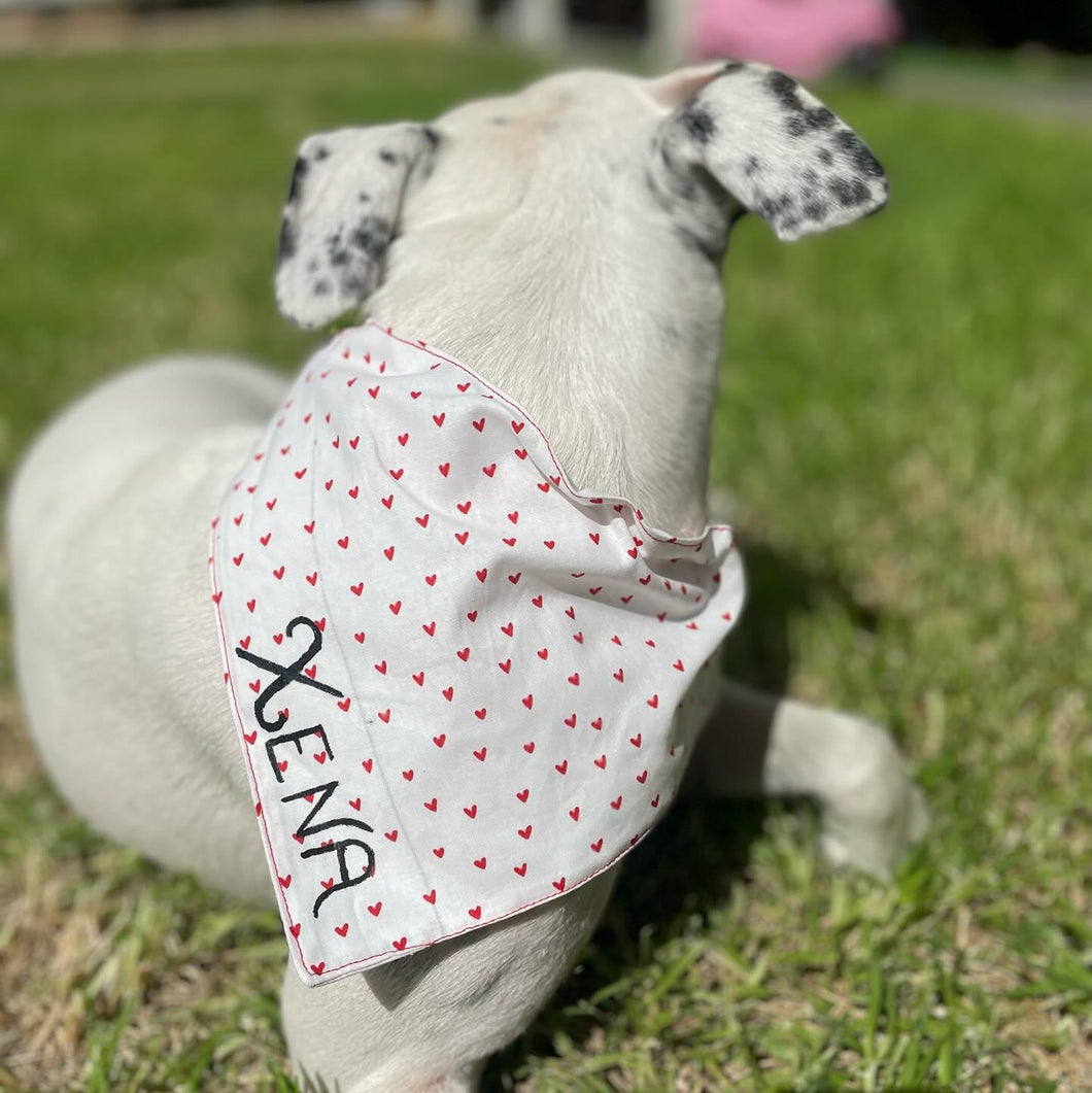 Heart Pet Bandana