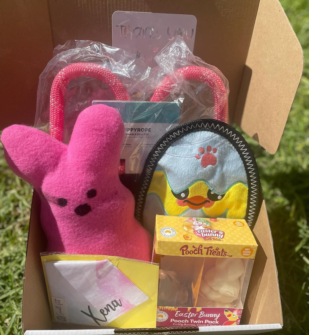 Easter Pet Box