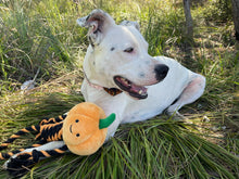 Load image into Gallery viewer, Pumpkins Pet Bandana
