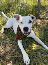 Load image into Gallery viewer, Pumpkins Pet Bandana
