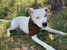 Load image into Gallery viewer, Pumpkins Pet Bandana
