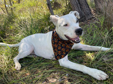 Load image into Gallery viewer, Pumpkins Pet Bandana
